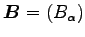 ${\boldsymbol B}=(B_\alpha)$